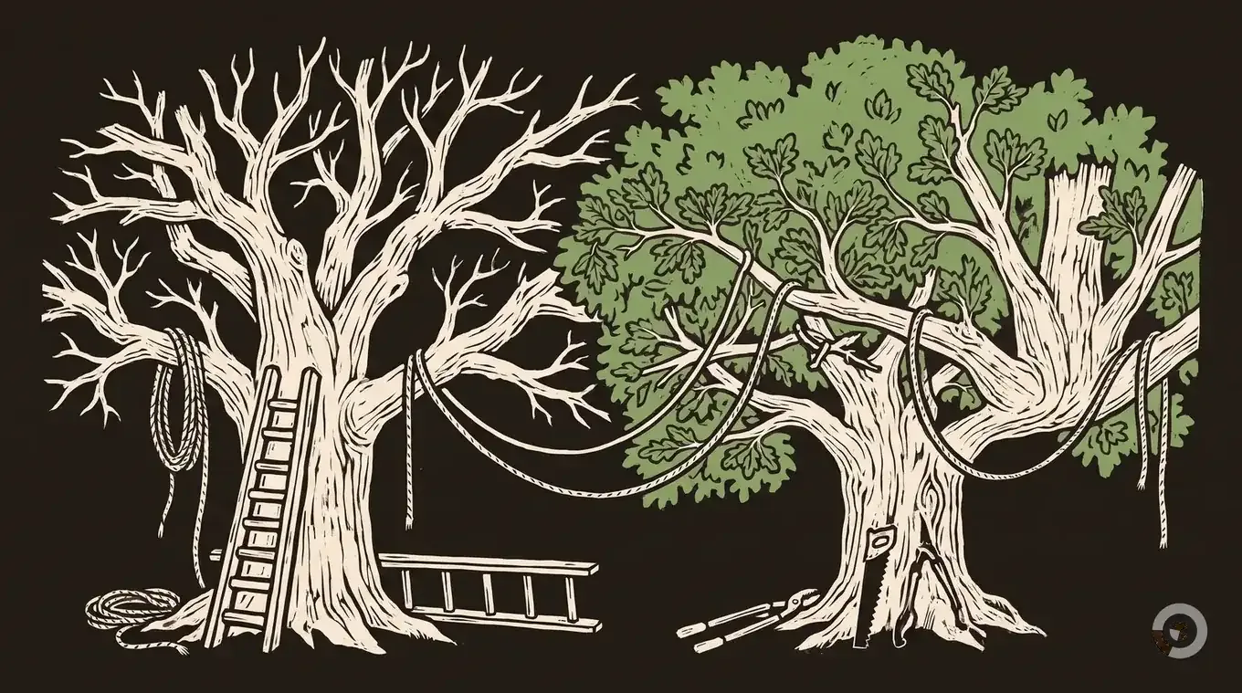 Woodcut hero illustration for the when to prune trees guide